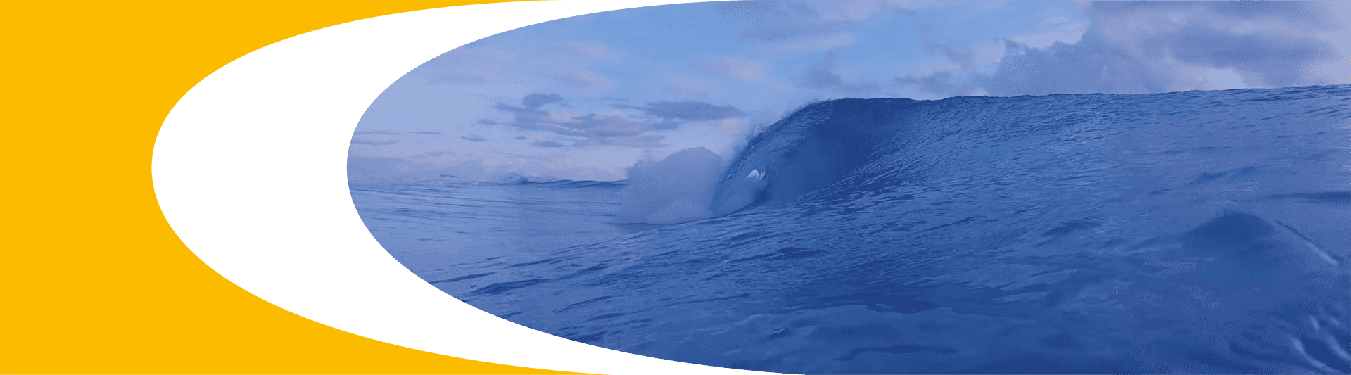 3499��˹ά��˹(�ٷ���֤)��վ-Made in PRC